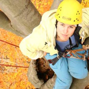 PE 1657: Tree Climbing | Student & Campus Life | Cornell University